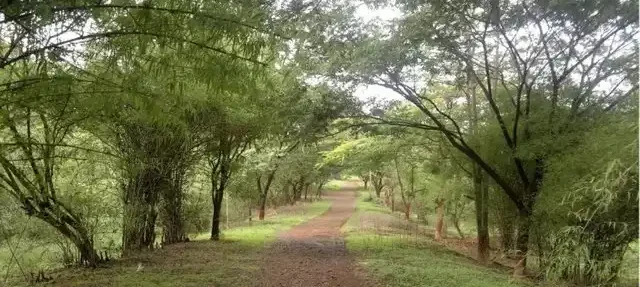 mumbaihiddengems.com