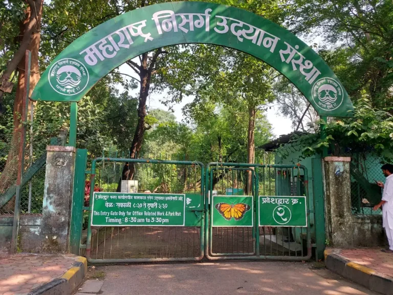 mumbaihiddengems.com